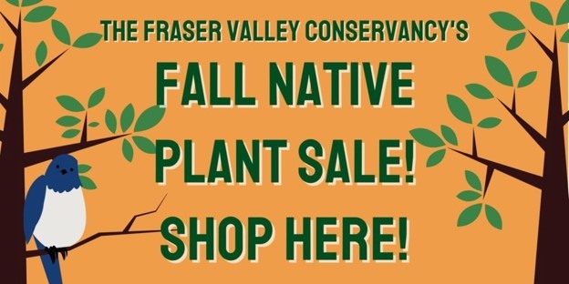 Announcing Fraser Valley Conservacy (FVC) Fall Native Plant Species Sale